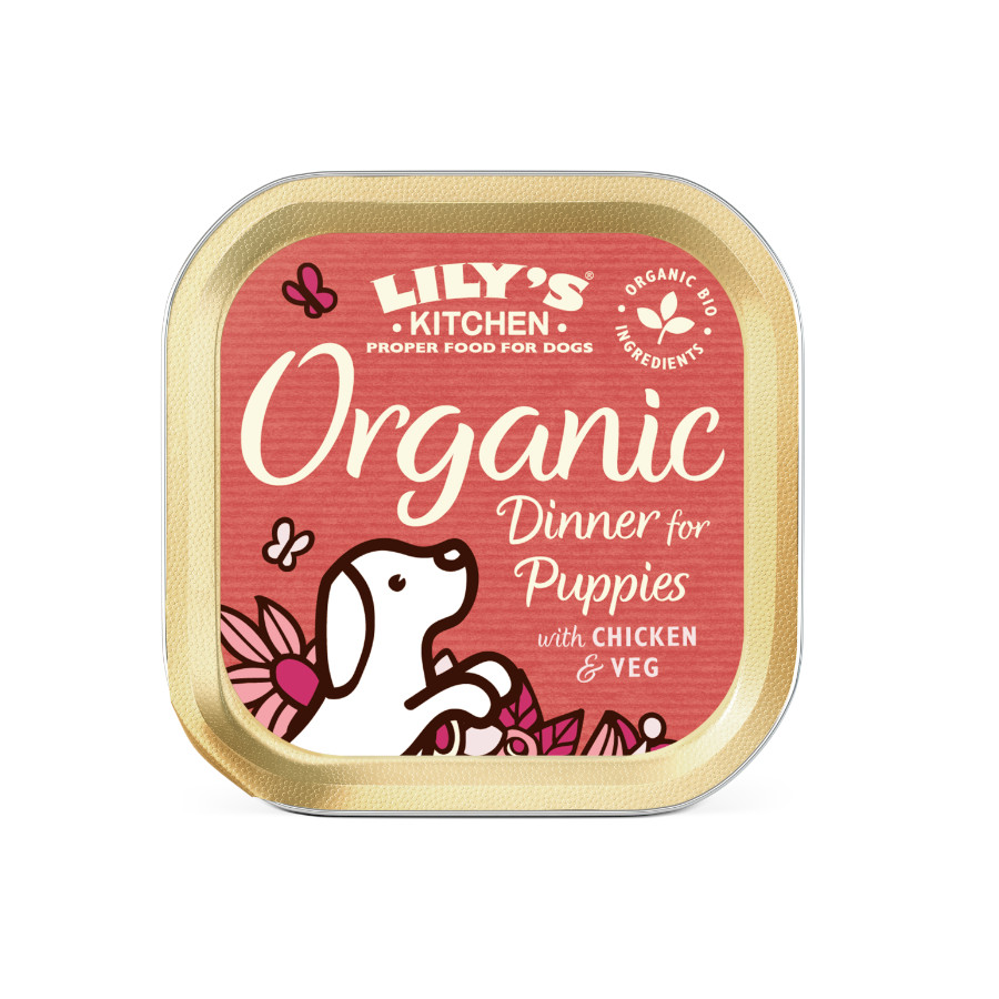 12 terrinas x 150 g Lily's Kitchen Puppy Organic Frango terrina Pack poupança!