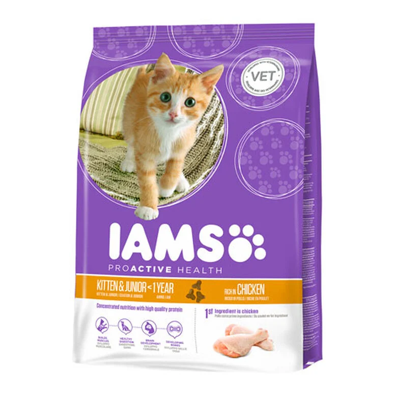 10 KG 10 kg IAMS Kitten&Junior Pollo pienso para gatos