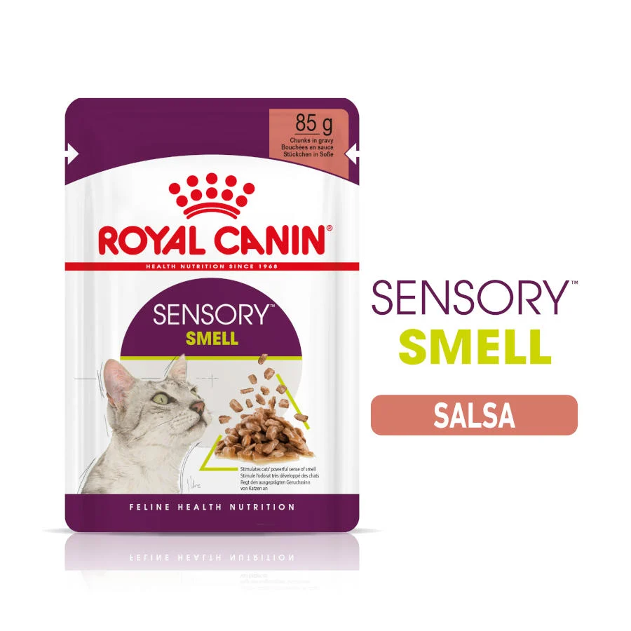 85 g Royal Canin Adult Sensory Smell molho saqueta para gatos