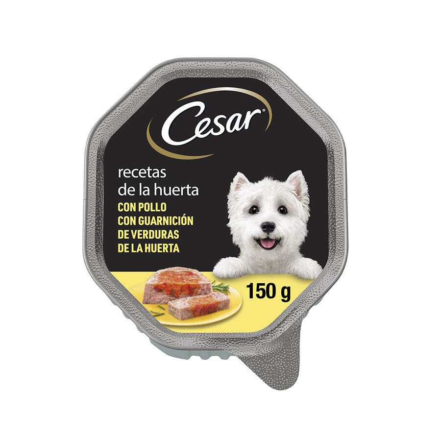 12 terrinas x 150 g Cesar Recetas da horta terrina em patê para cães Pack poupança!