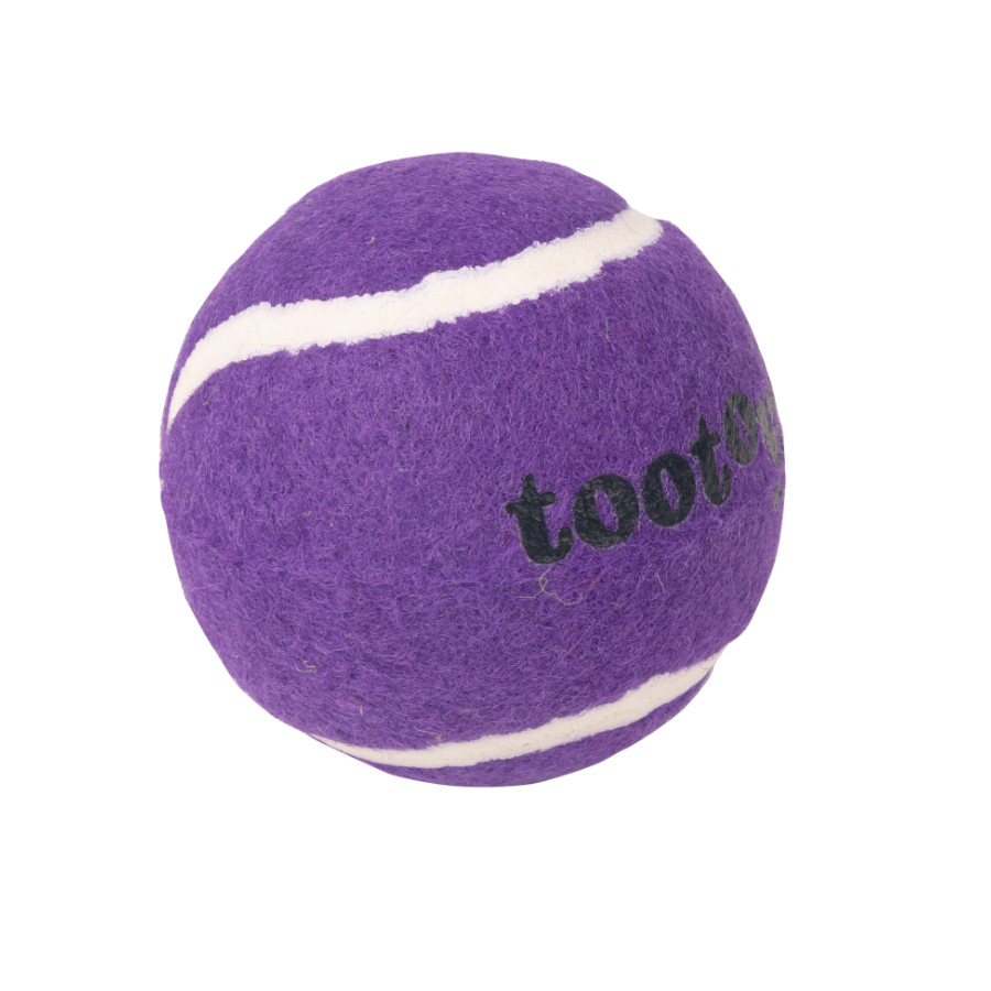 Tootoy! Chase Squeaker Ball Roxa bola de ténis para cães