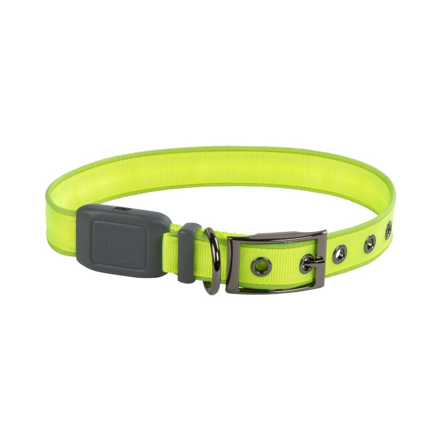 Nite Ize NiteDog Coleira LED Recarregável Verde para cães