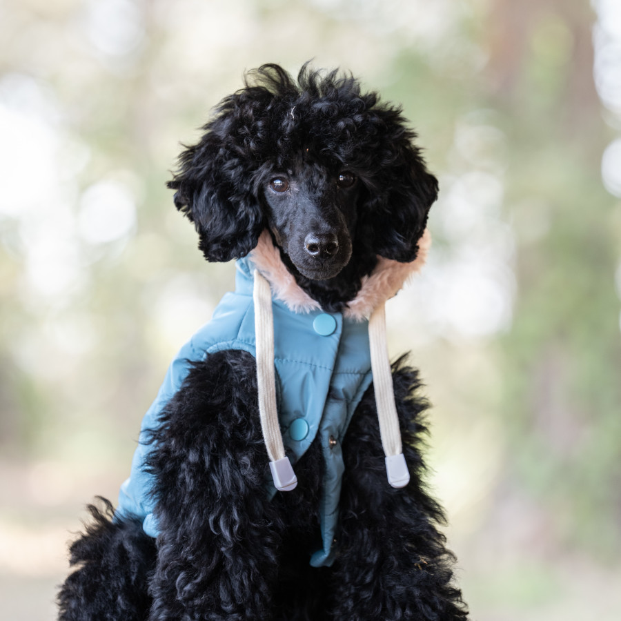 Freedog Iceguard Capa de Chuva Azul-marinho para cães