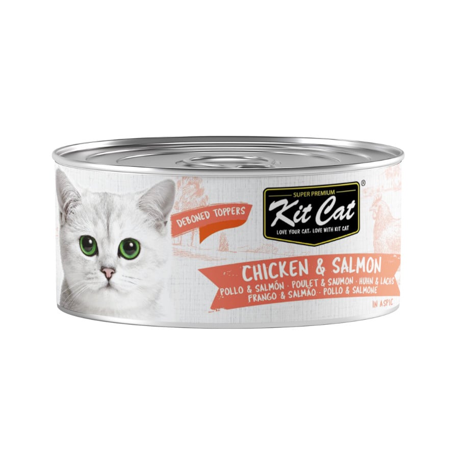 Kit Cat Comida húmida de frango e salmão em lata para gatos