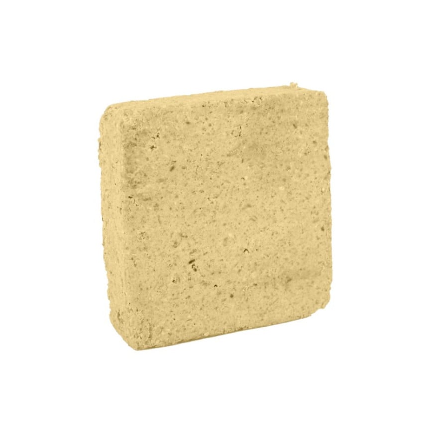 Zolux Alimento em bloco de gordura com insetos para pássaros