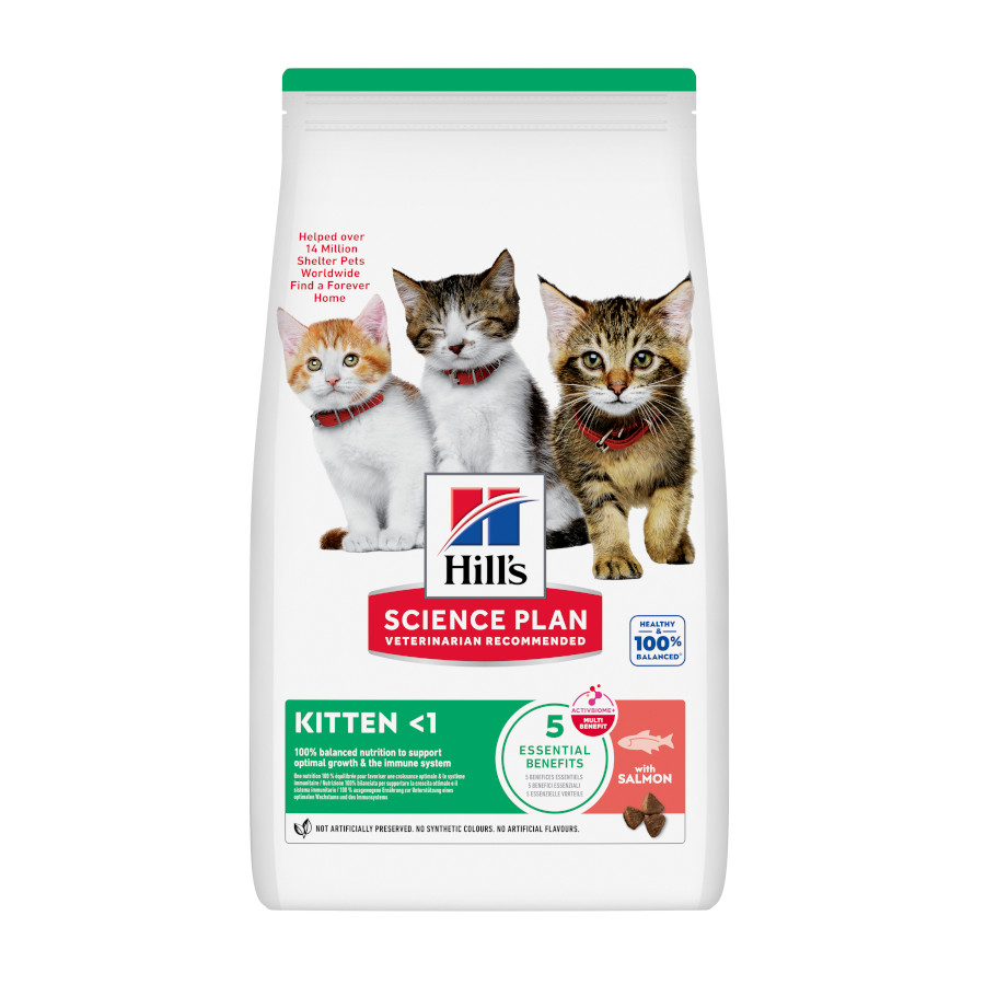 1.5 kg Hill's Science Plan Ração de salmão para gatinhos