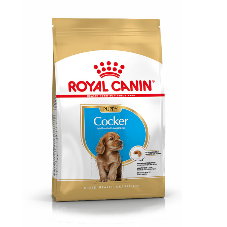 3 KG Royal Canin Puppy Cocker ração para cães