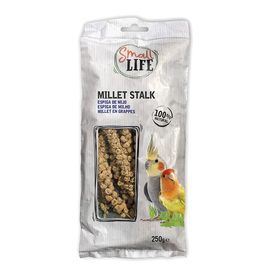6 pacotes x 250 g Small Life panizo em espiga para pássaros Pack poupança!