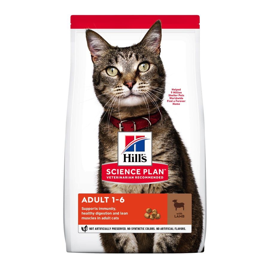 10 kg Hill's Adult Science Plan Cordeiro ração para gatos