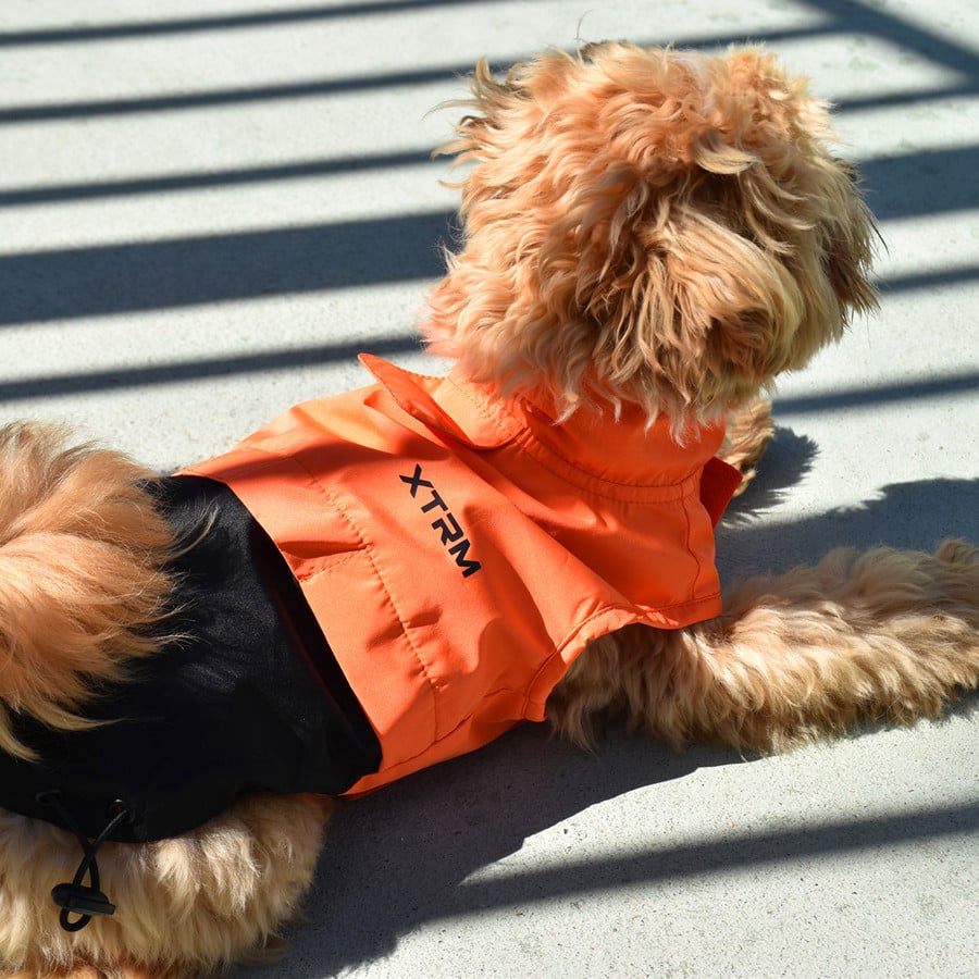 Nayeco X-TRM Capa de Chuva Laranja e Preta para cães
