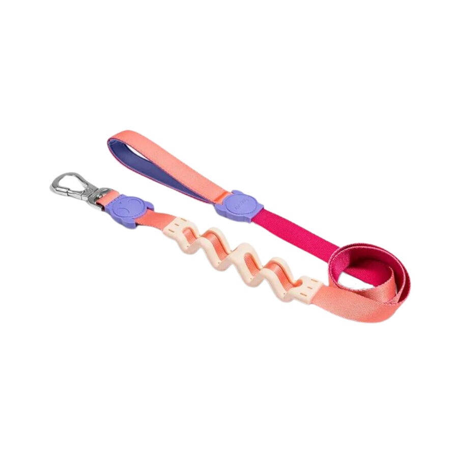 Zeedog Ruff Cinnamon Trela para cães