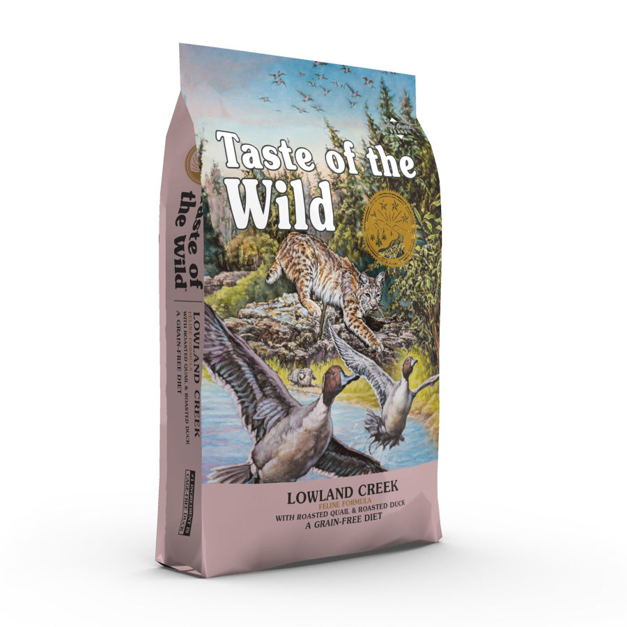6.6 KG Taste Of The Wild Low Land Creek comida para gatos