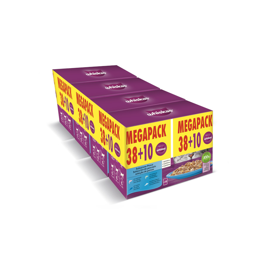 48 saquetas x 85 g Whiskas Seleção Peixes Gelatina em Sache para Gatos Adultos