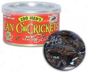 ZOOMED can oÂ´crickets mini grilos