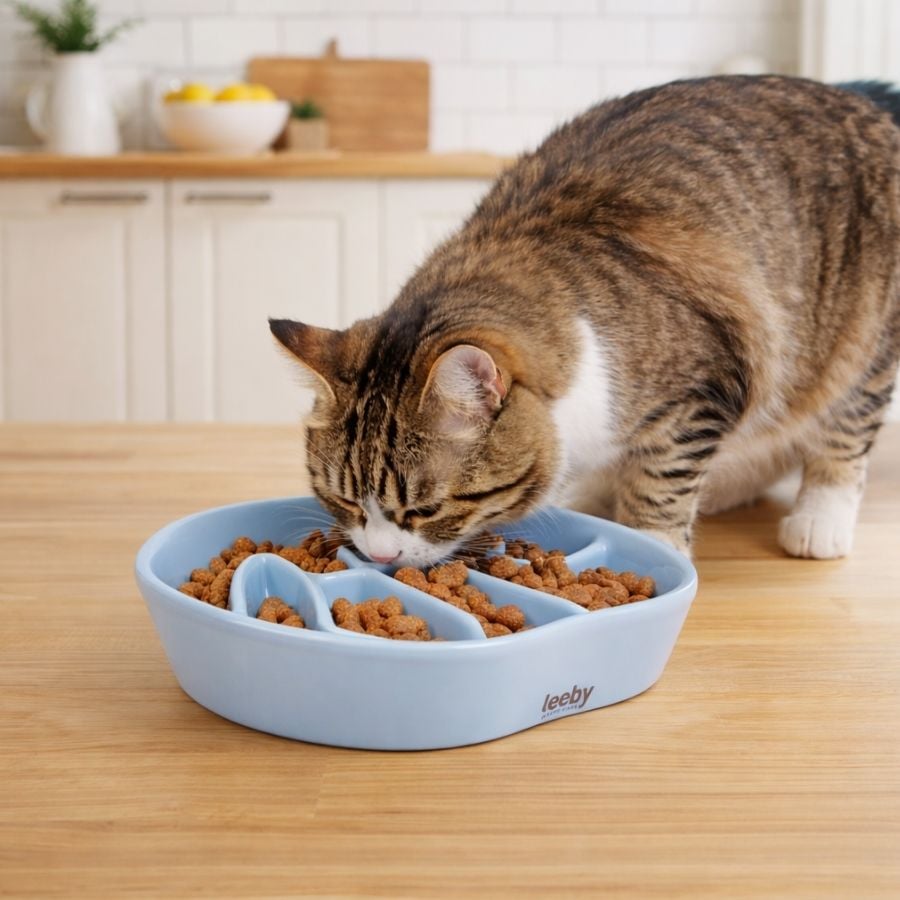 Leeby Comedouro Antivoracidade de Cerâmica para gatos