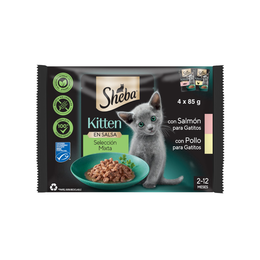 12 saquetas x 85 g Sheba Kitten Sachê de Frango e Salmão em Molho para Gatos Pack poupança!