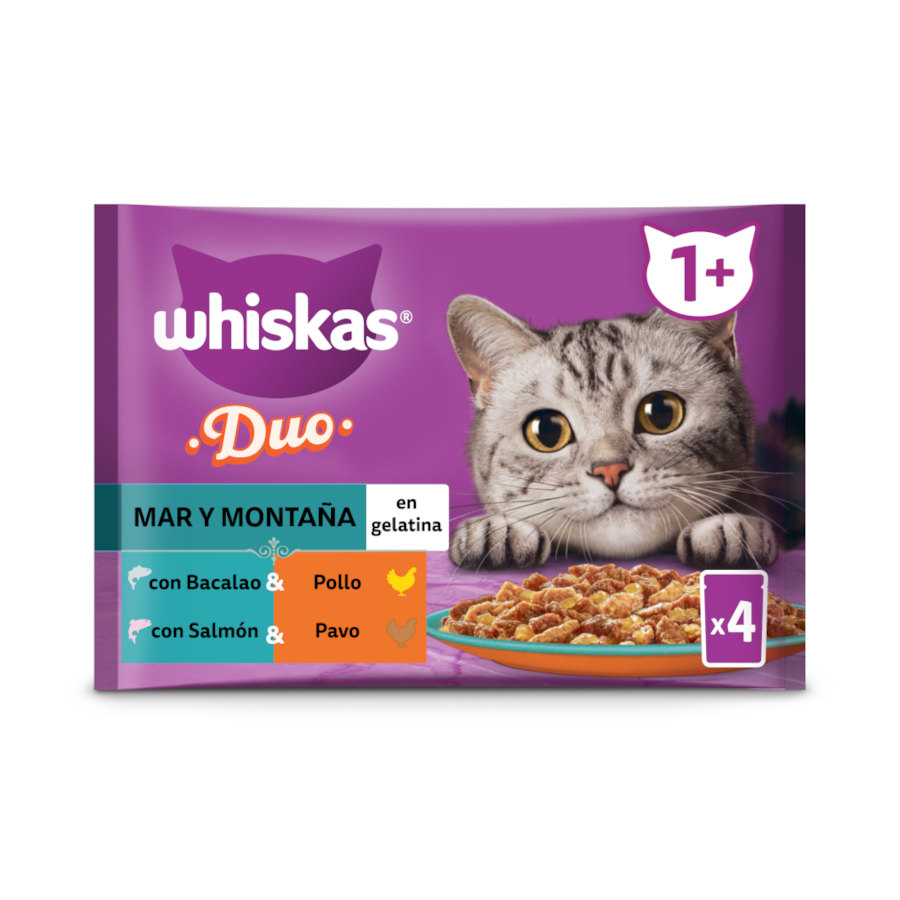 0.34 KG 4 saquetas x 85 g Sachê de gelatina Whiskas Duo Sea and Mountain para gatos