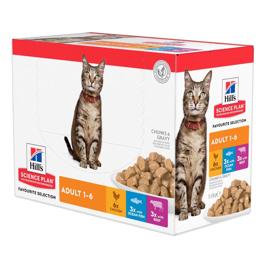 1.02 KG 12 saquetas x 85 g Hill's Science Plan Adult Frango, Peixe Azul e Carne em Molho para Gatos