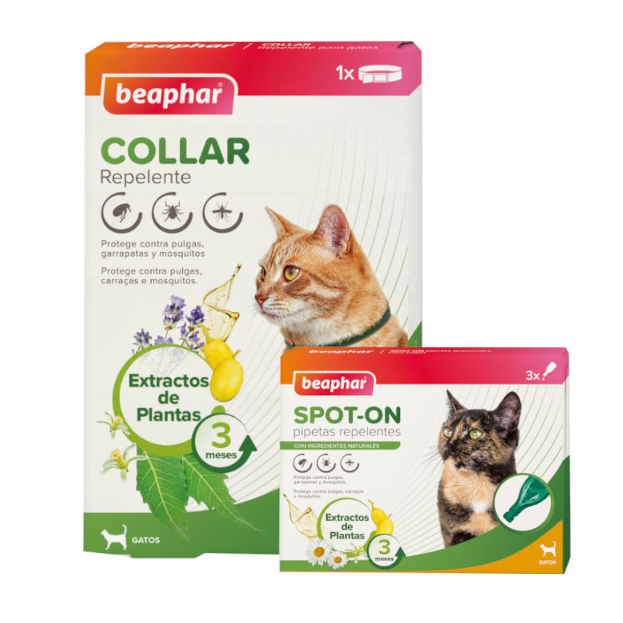 1 coleira x 35 cm + 3 pipetas Pack Beaphar Colar e Pipetas Repelentes para Gatos Pack poupança!
