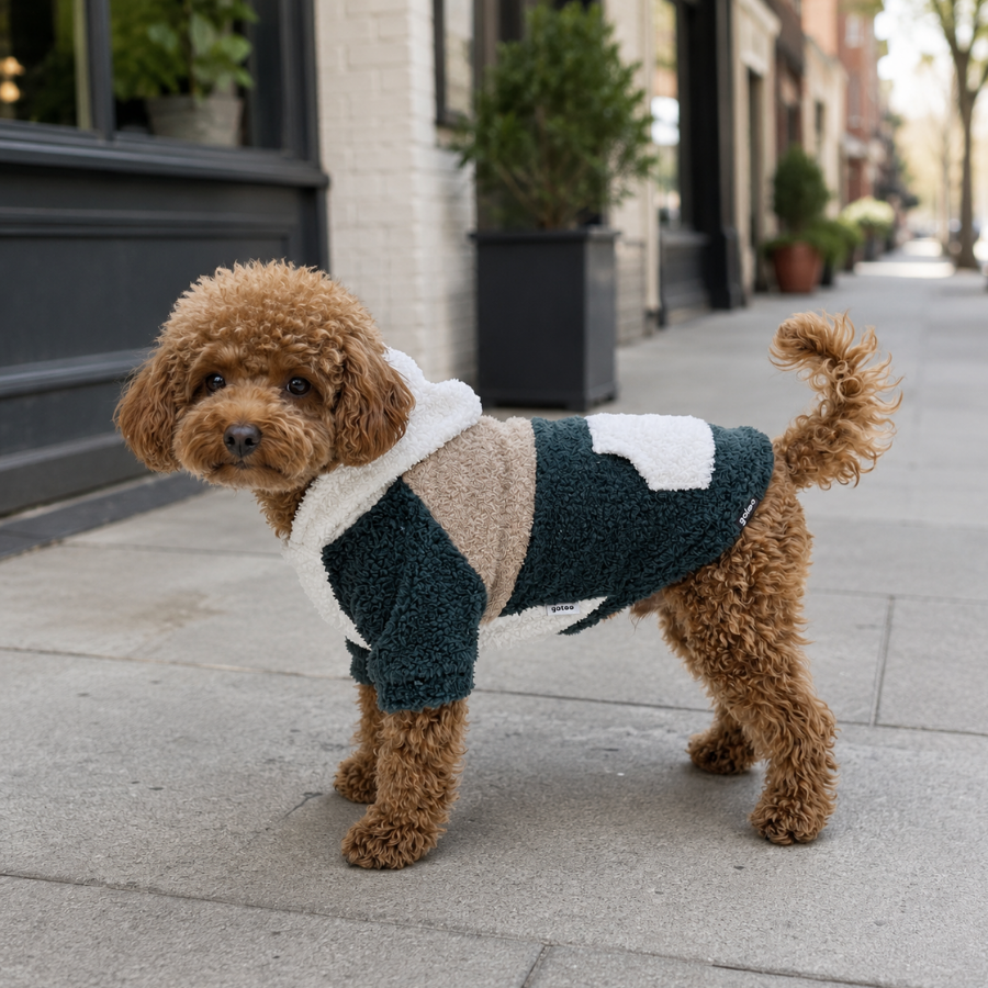 Gotoo Pijama Multicolor em Blocos para cães