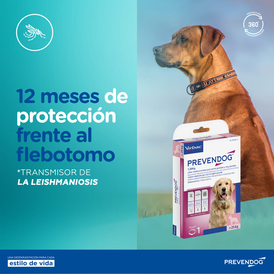 Virbac Prevendog Coleira Antiparasitária para cães de porte médio, , large Indicador imagem número 1