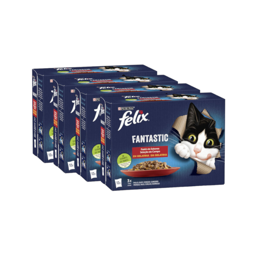 48 saquetas x 85 g Felix Seleção de carnes em gelatina - Multipack Pack poupança!