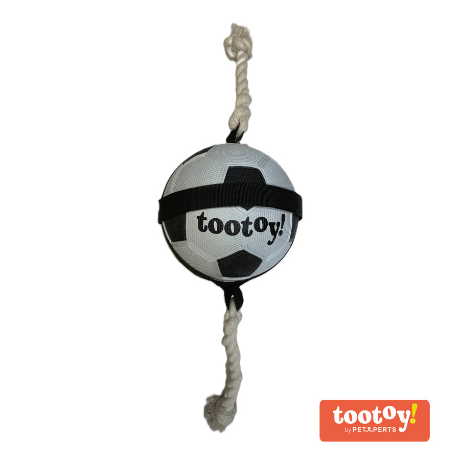 Tootoy! Chase Large Football bola para cães