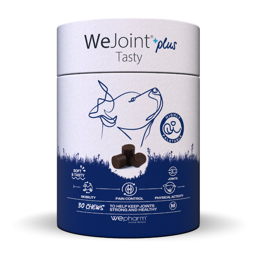 Wepharm Wejoint Plus Tasty Suplemento para cães