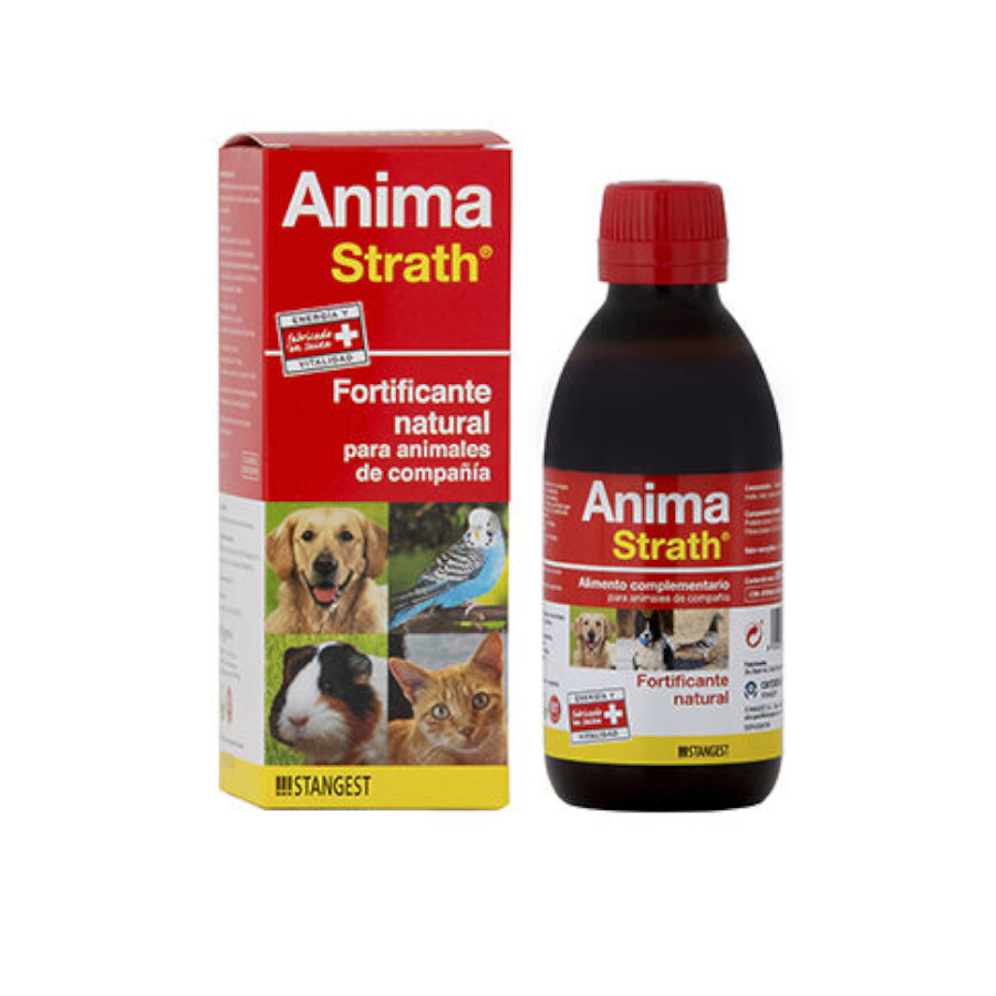 250 ML Mister Stuzzy Sterilized frango comida húmida para gato