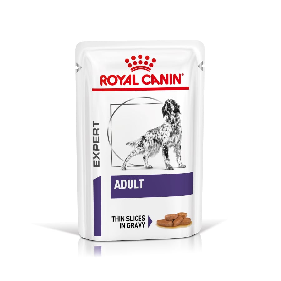 24 saquetas x 100 g Royal Canin Expert Adult Saqueta em Molho para cães Pack poupança!