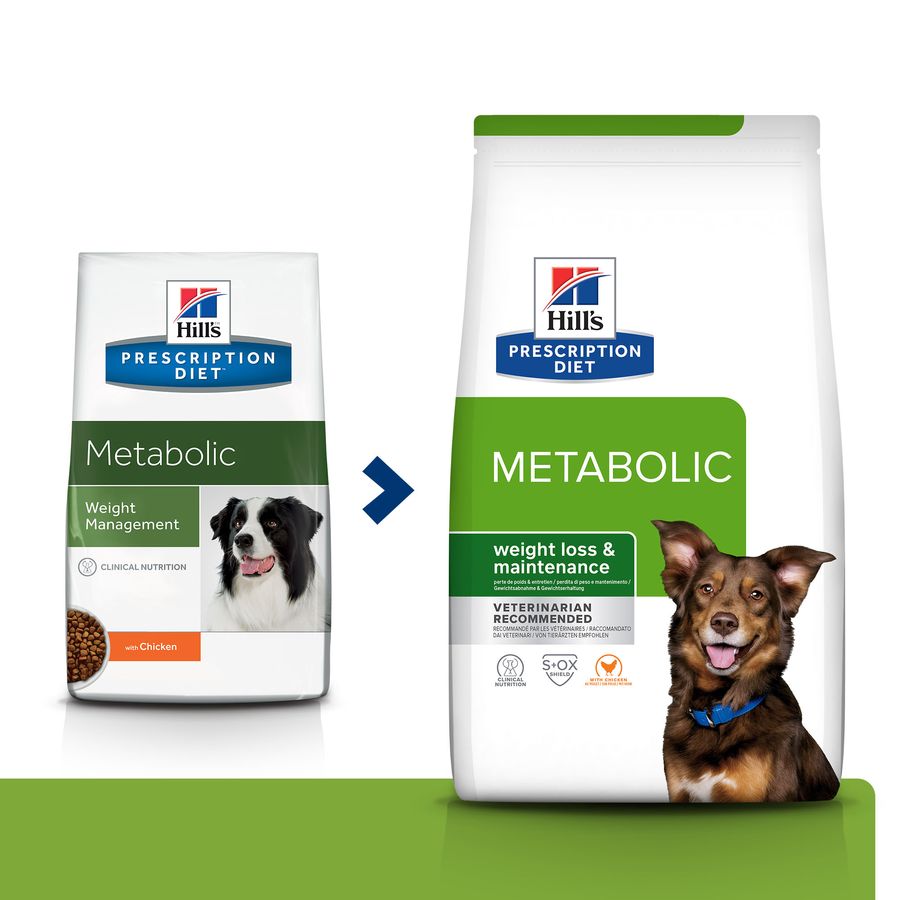 Hill's Prescription Diet Metabolic ração para cães, , large image number null