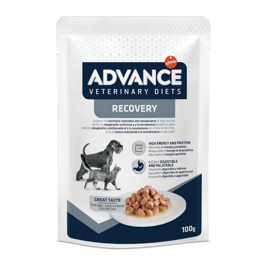 Advance Recovery Saquetas Para C es E Gatos advance-recovery-saquetas-para-c-es-e-gatos