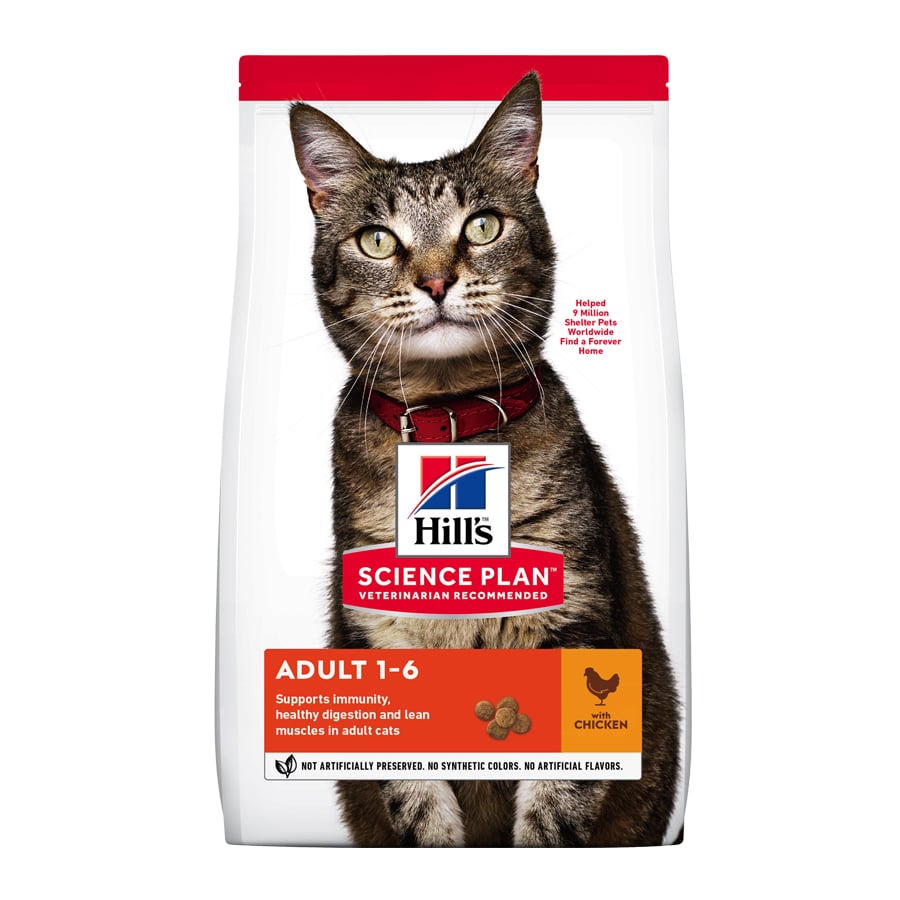 0.3 KG Hill's Adult Science Plan Frango ração para gatos