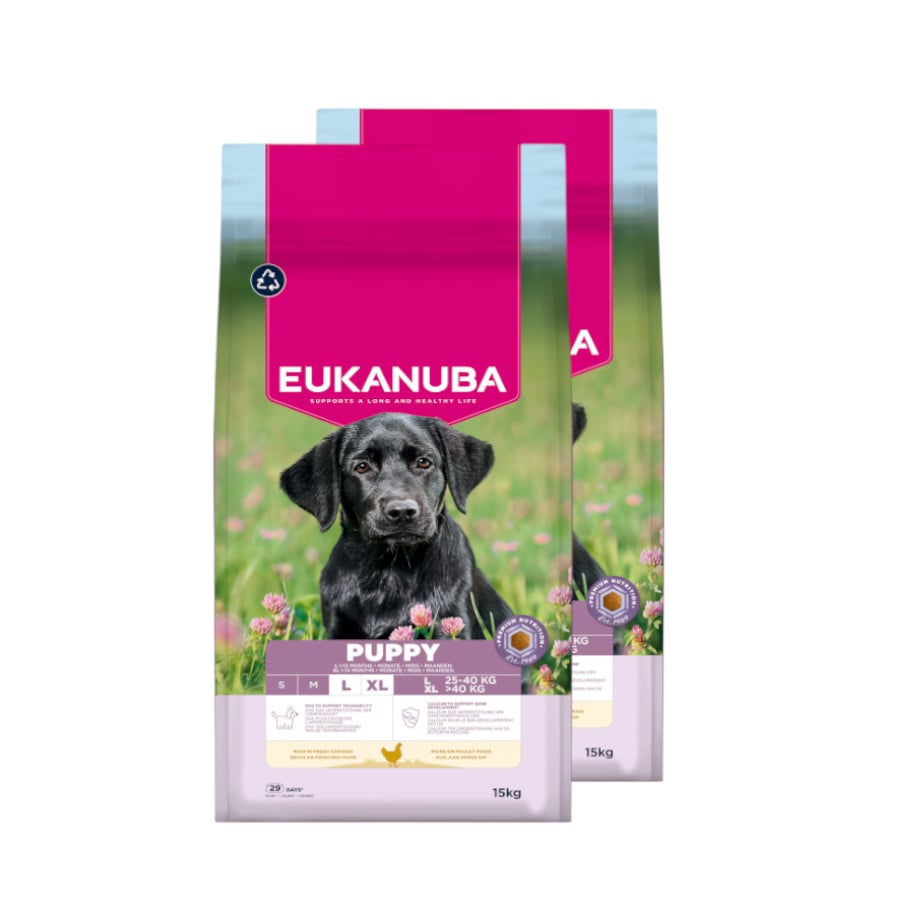 2 x 15 kg Eukanuba Puppy Large Breed Frango raçao para cães Pack poupança!