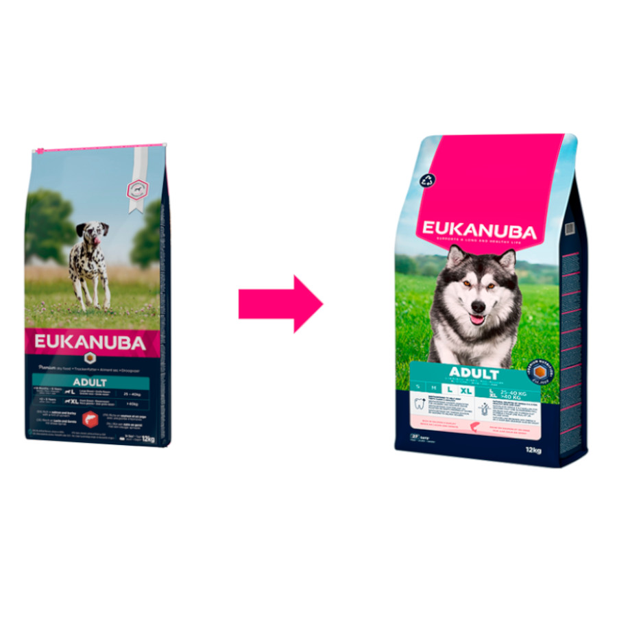 12 kg Eukanuba Adult Salmão ração para cães