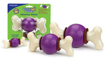 Bouncy Bone Busy Buddy premier mordedor com bola