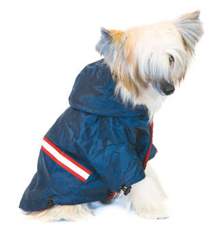 roupas para cÃ£es gabardina azul<p>