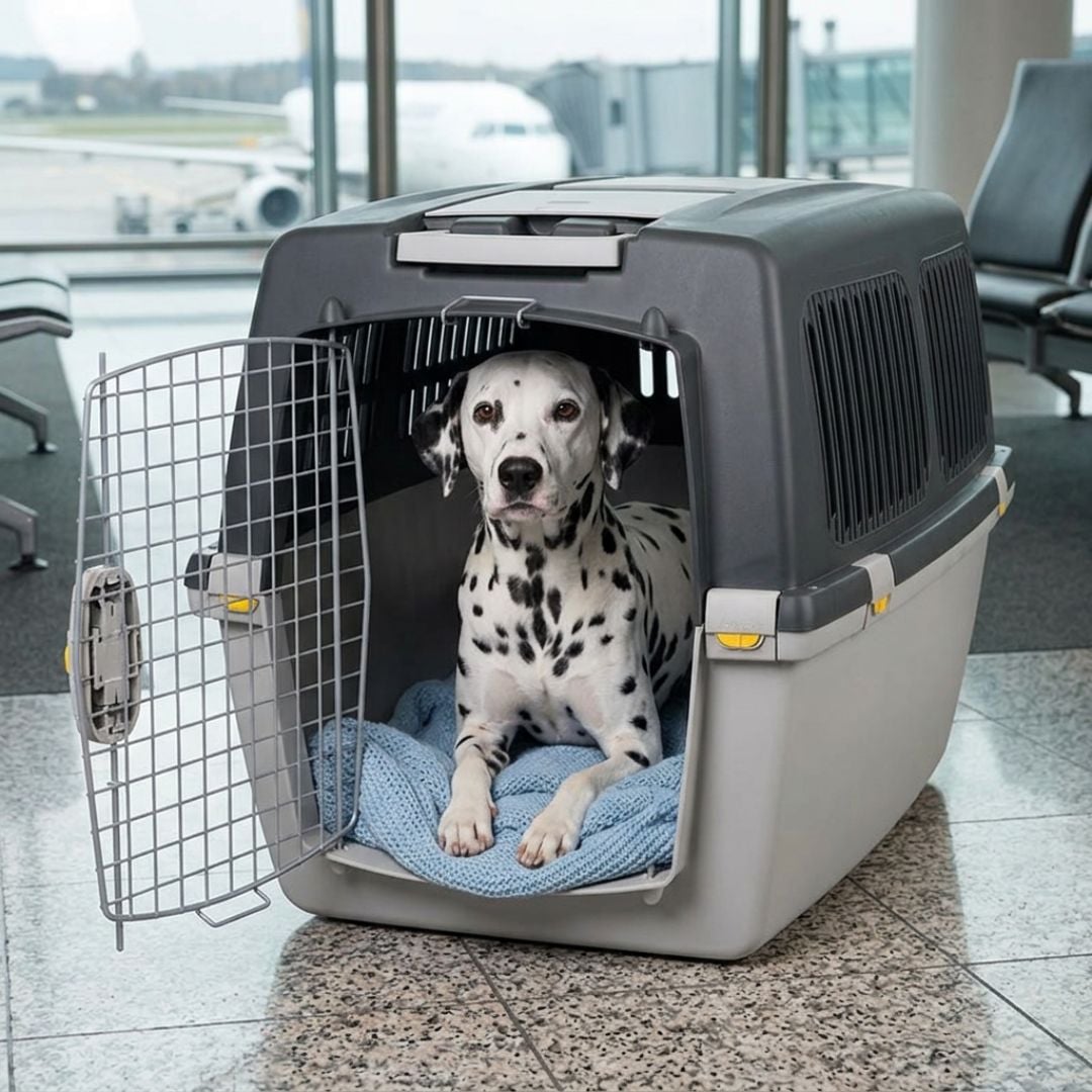 Stefanplast Gulliver IATA Transportadora para cães