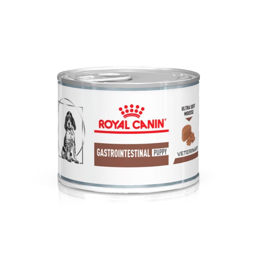 12 latas x 195 g Royal Canin Puppy Gastrointestinal Mousse lata Pack poupança!