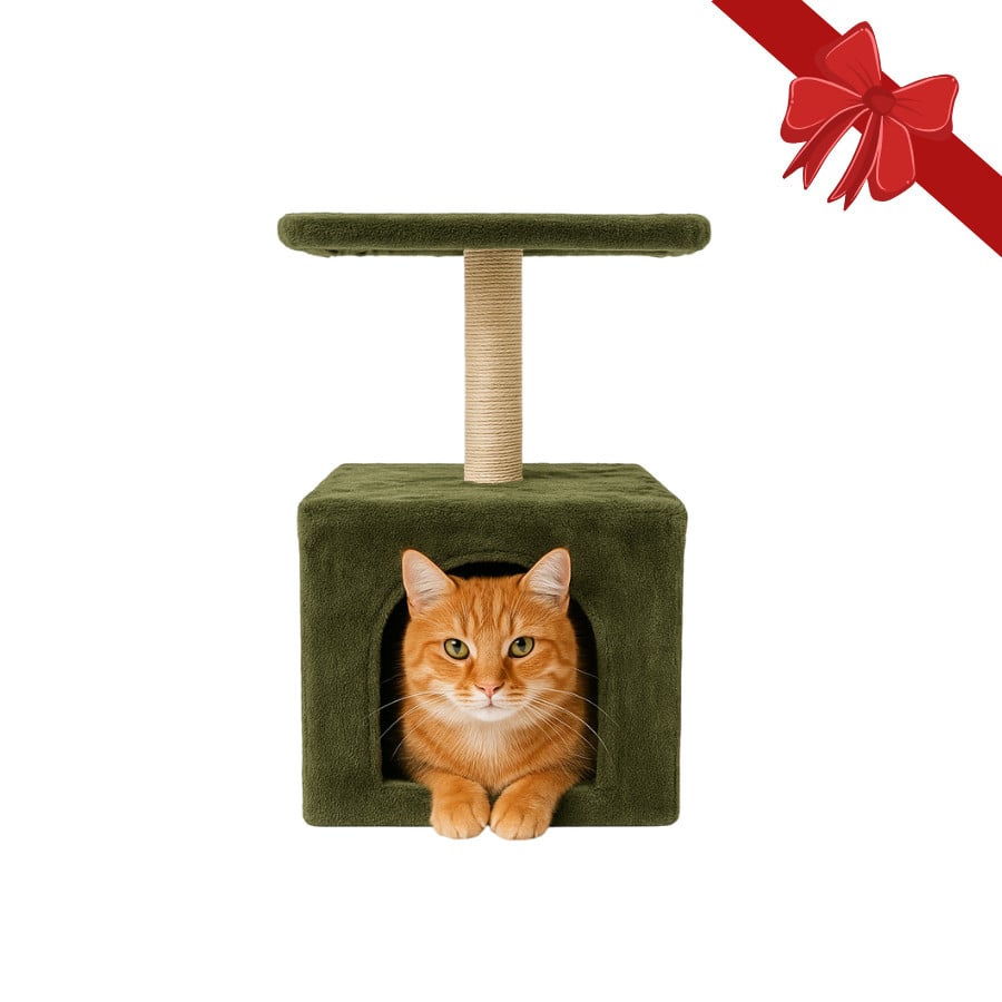Wonder Christmas Arranhador com Poste de Sisal de Natal para Gatos