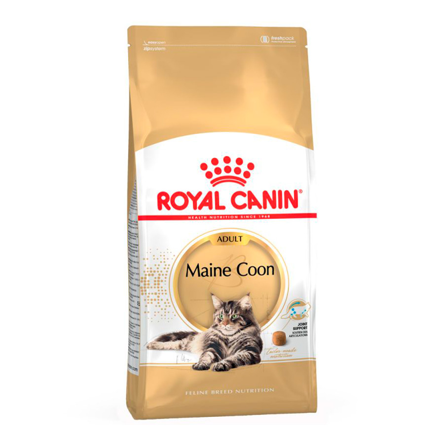 2 x 10 kg Royal Canin Adult Maine Coon ração para gatos Pack poupança!