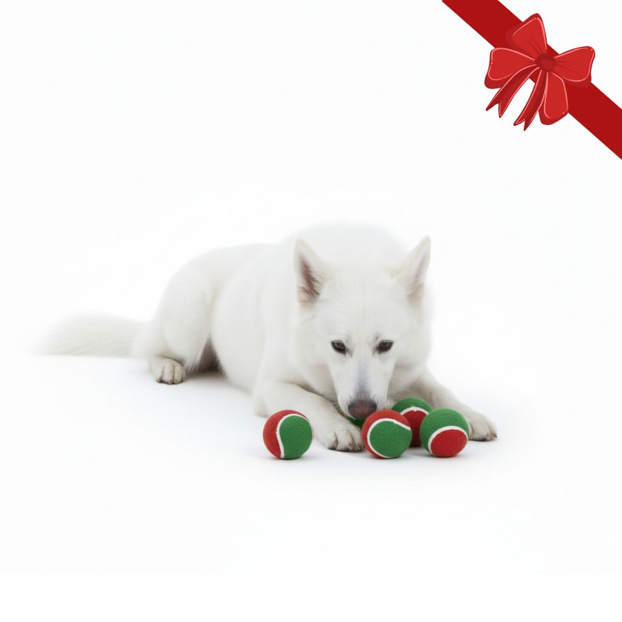 Wonder Christmas Bolas de Ténis de Natal para Cães