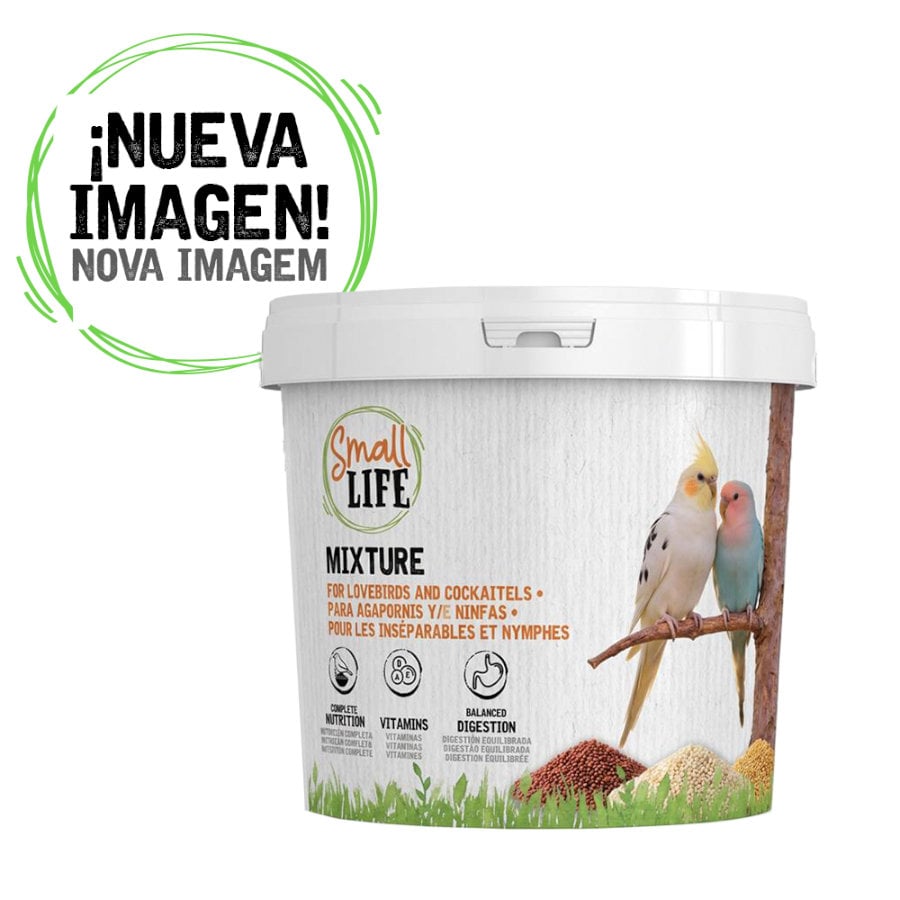 3.7 kg Small Life Mixtura Cubos para agapornis e caturras