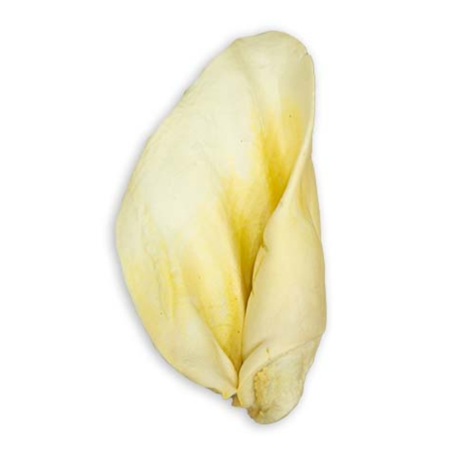 6 uds. Natureats Oreja de Vacuno Blanqueada para perros ¡Pack ahorro!