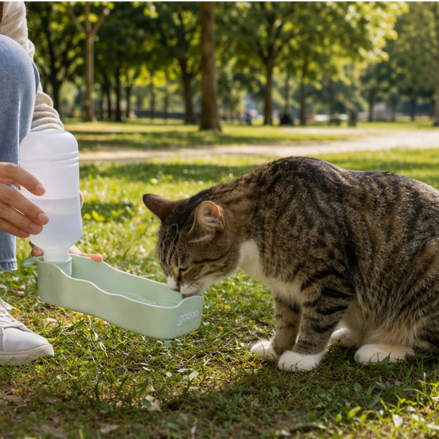Gotoo Garrafa Bebedouro Portátil em Plástico Verde para cães e gatos