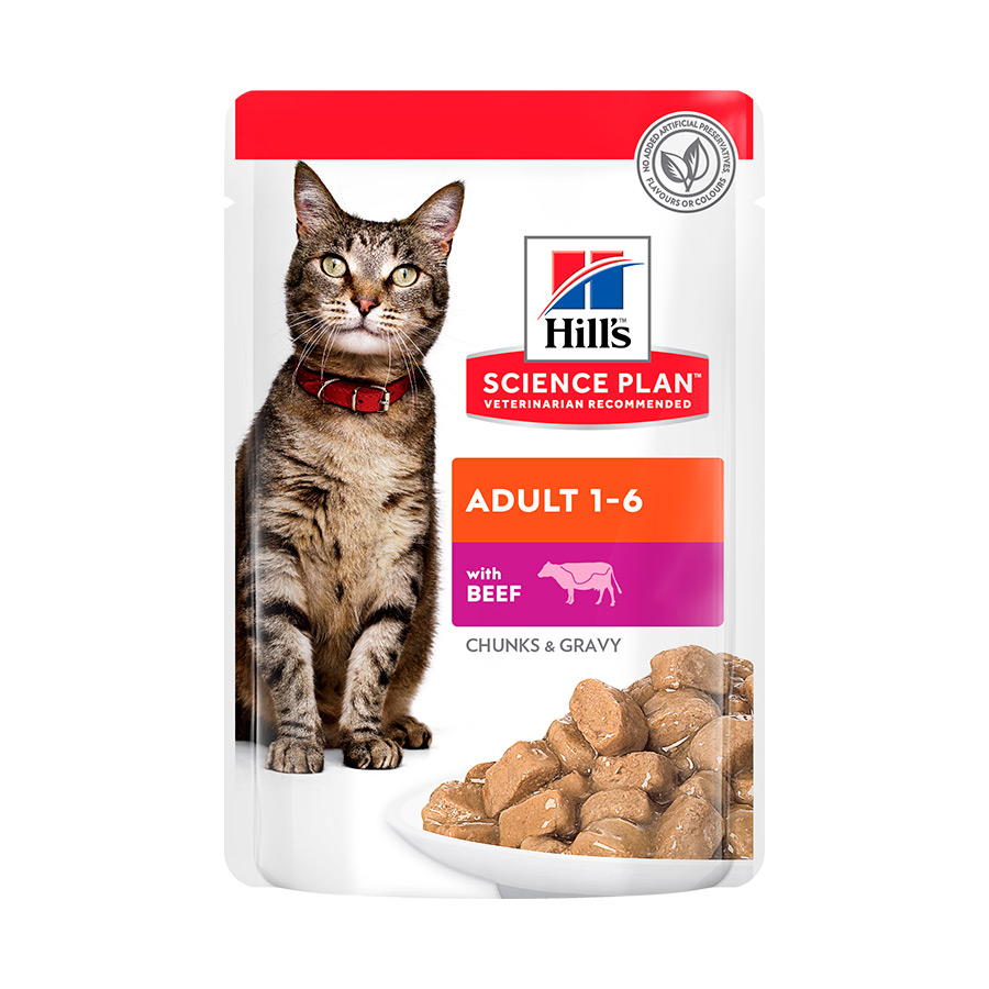 12 saquetas x 85 g Hill's Science Plan Adult Vitela Saqueta em Molho para gatos Pack poupança!