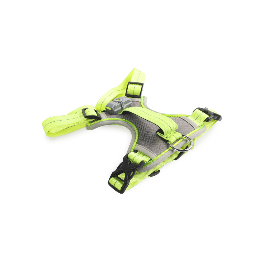 All For Paws K-Nite Peitoral com luz para cães