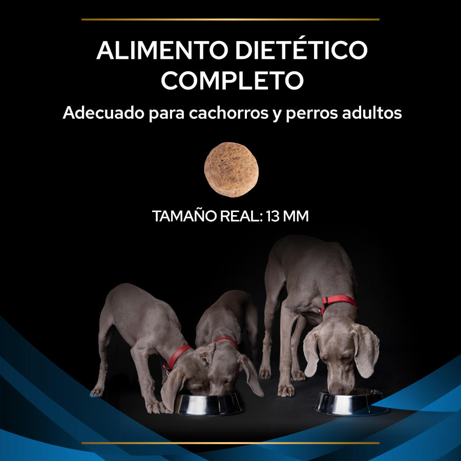 Purina Pro Plan Veterinary Diets Dermatoses ração para cães, , large image number null