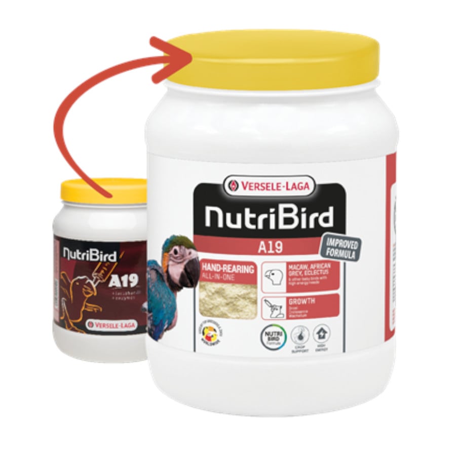 0.8 KG Versele-Laga NutriBird A19 Papa para filhotes de papagaios