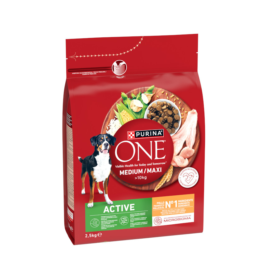 2,5 kg Purina One Active Pienso Pollo para perros
